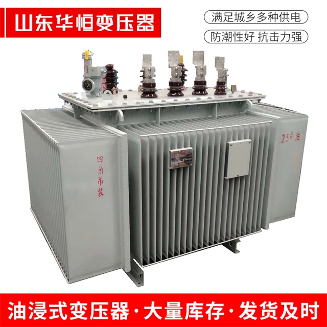 S13-10000/35子洲子洲子洲电力变压器厂家