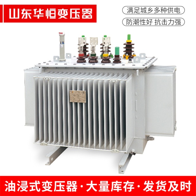 S13-10000/35子洲子洲子洲电力变压器