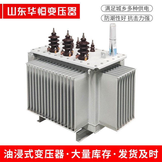S11-10000/35子洲子洲子洲电力变压器价格